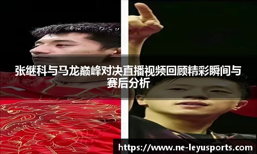 乐鱼体育app下载官网